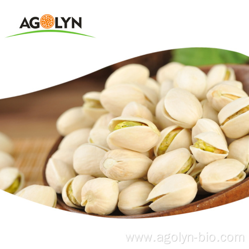 Factory Pistachio Roasted Nuts For Sale Price